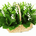 Panier Muguet