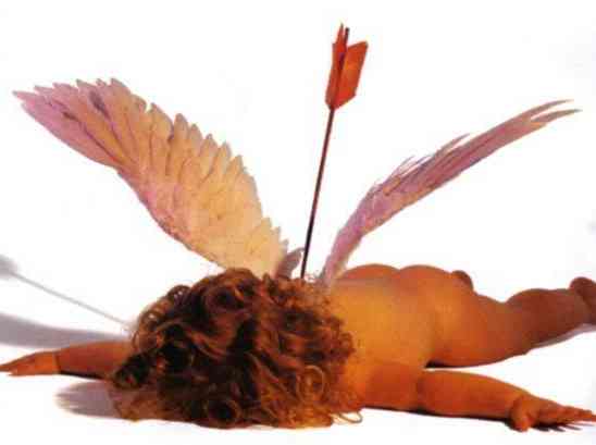 site de rencontre cupidon